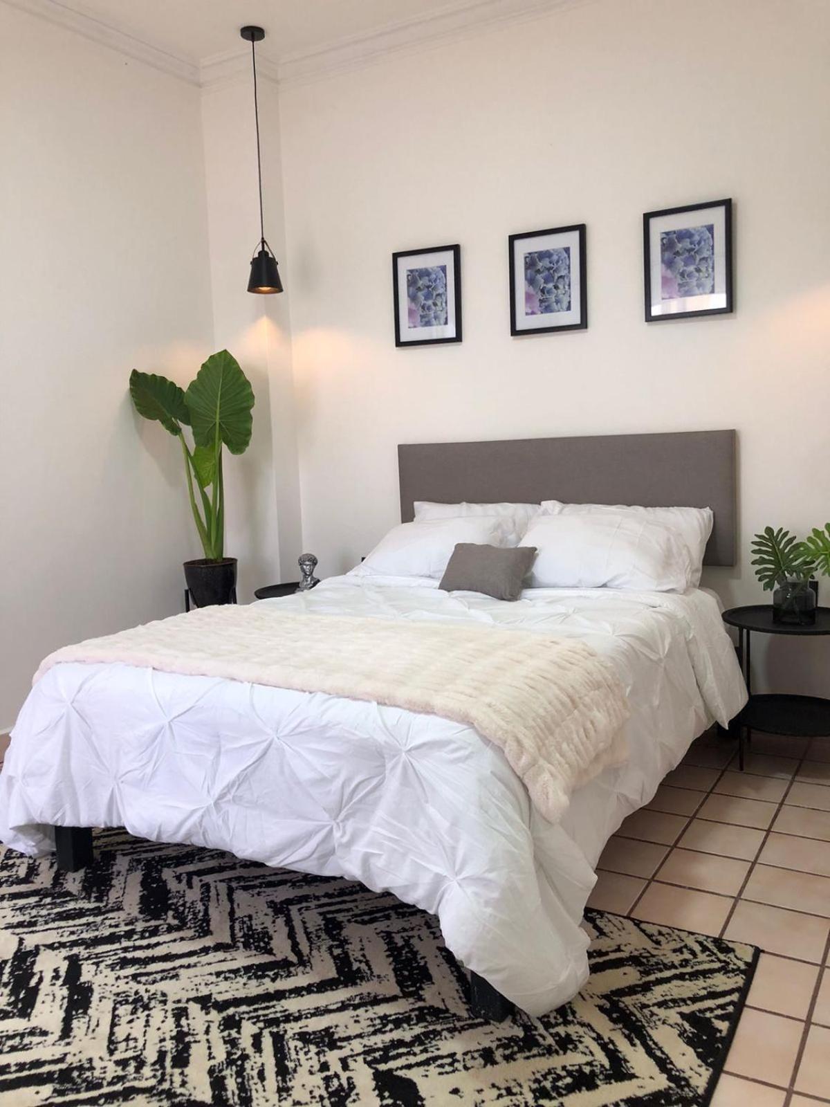 מלון לה פז Casa Palma 2 מראה חיצוני תמונה